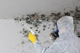 Best Forensic Mold Investigation in Corning, CA